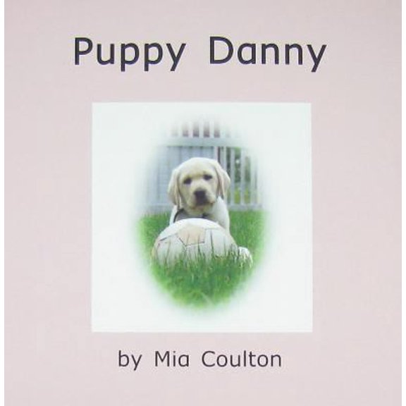 Pre-Owned Puppy danny (Danny Returns) (Paperback) 1933624078 9781933624075
