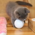thumbnail image 4 of Fawoonu USB Rechargeable LED Cat Toy Ball - Durable White Interactive Pet Plaything for Indoor Fun, 4 of 4