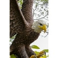 thumbnail image 6 of Hi-Line Gift Ltd. Large Flying Eagle Statue, 6 of 7