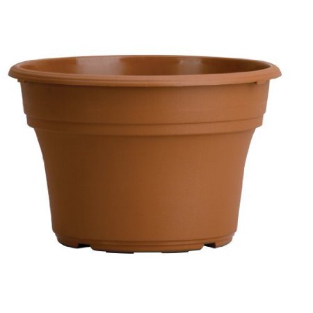 The HC Companies Panterra Plastic Round Pot for Outdoor Plants  Clay Color 10