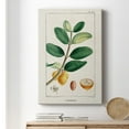 thumbnail image 6 of Turpin Tropical Botanicals V Premium Gallery Wrapped Canvas - Ready to Hang, 6 of 9