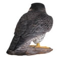 thumbnail image 2 of Garden Decor Animal Statue Peregrine Falcon, 2 of 5