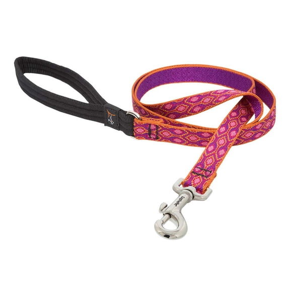 3/4in Alpen Glow 4ft Dog Leash