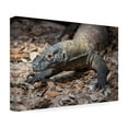 thumbnail image 4 of Robert Michaud 'Komodo dragon' Canvas Art, 4 of 4