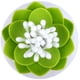 thumbnail image 2 of Caja de almacenamiento de hisopos de algodón con forma de flor de loto, hisopos de algodón, almacenamiento de cosméticos, decoración de baño, verde Ormromra ZJWJ430-1, 2 of 6