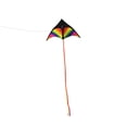 thumbnail image 4 of Cometa Colorido Delta Kite Easy to Fly Kite Single Line Beach Kite con cuerda de 30 m para niños adu Tomshoo Cometa, 4 of 7