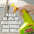MOLD ARMOR Mold and Mildew Killer + Quick Stain Remover, 32 oz