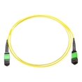 thumbnail image 1 of Axiom - Network cable - MTP/MPO single-mode (F) to MTP/MPO single-mode (F) - 1 m - fiber optic - 9 / 125 micron - riser - yellow, 1 of 3