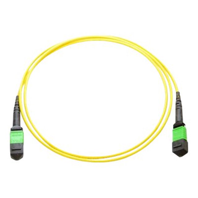 Axiom - Network cable - MTP/MPO single-mode (F) to MTP/MPO single-mode (F) - 1 m - fiber optic - 9 / 125 micron - riser - yellow