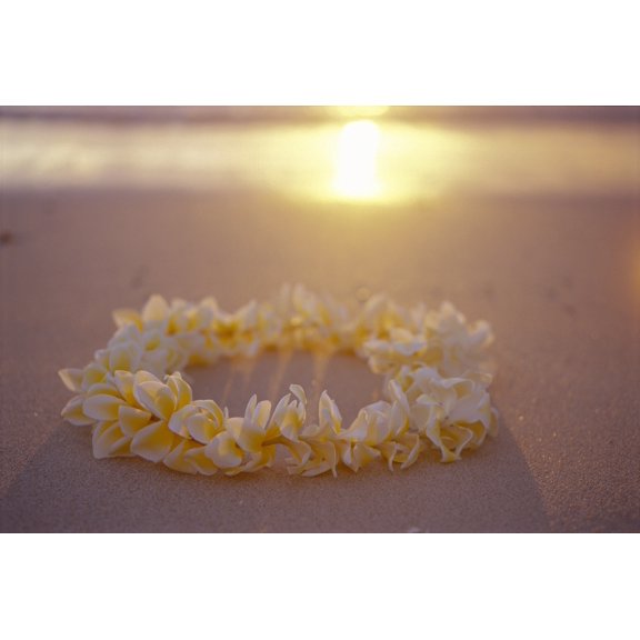 Yellow Plumeria Lei Shoreline Beach With Shadow Golden Reflections Ocean Sunset Canvas Art - Mary Van de Ven  Design Pics (19 x 12)