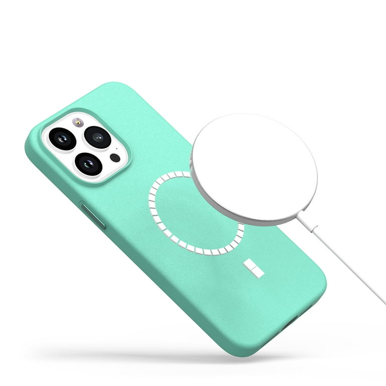 For Apple iPhone 11 (6.1