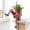 YF08, variant on Leggy Pot Leggy Planter, Funny Planter Set with Legs, Creative Sitting Human Shaped Resin Planter,Leggy Pot Planter