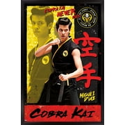 Cobra Kai - Miguel Wall Poster, 14.725" x 22.375", Framed