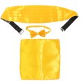 thumbnail image 1 of Cummerbund Ensemble de Nœud Papillon 1Ensemble Jaune Polyester Réglable pour Mariage et Réunions d'Église, 1 of 8