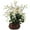 White, variant on Nearly Natural Large Cymbidium Silk Flower Arrangement, White