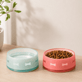thumbnail image 6 of Felli Duo World Pet Non-Slip SAN-Plastic Food & Water Bowl Set with 2 Pet Bowls for Dogs, Mint & Blush Bone Accent Design (2 Pack), 6 of 6