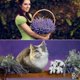 thumbnail image 5 of 10 paquetes de flores artificiales de lavanda para decoración del hogar y bodas, 5 of 7
