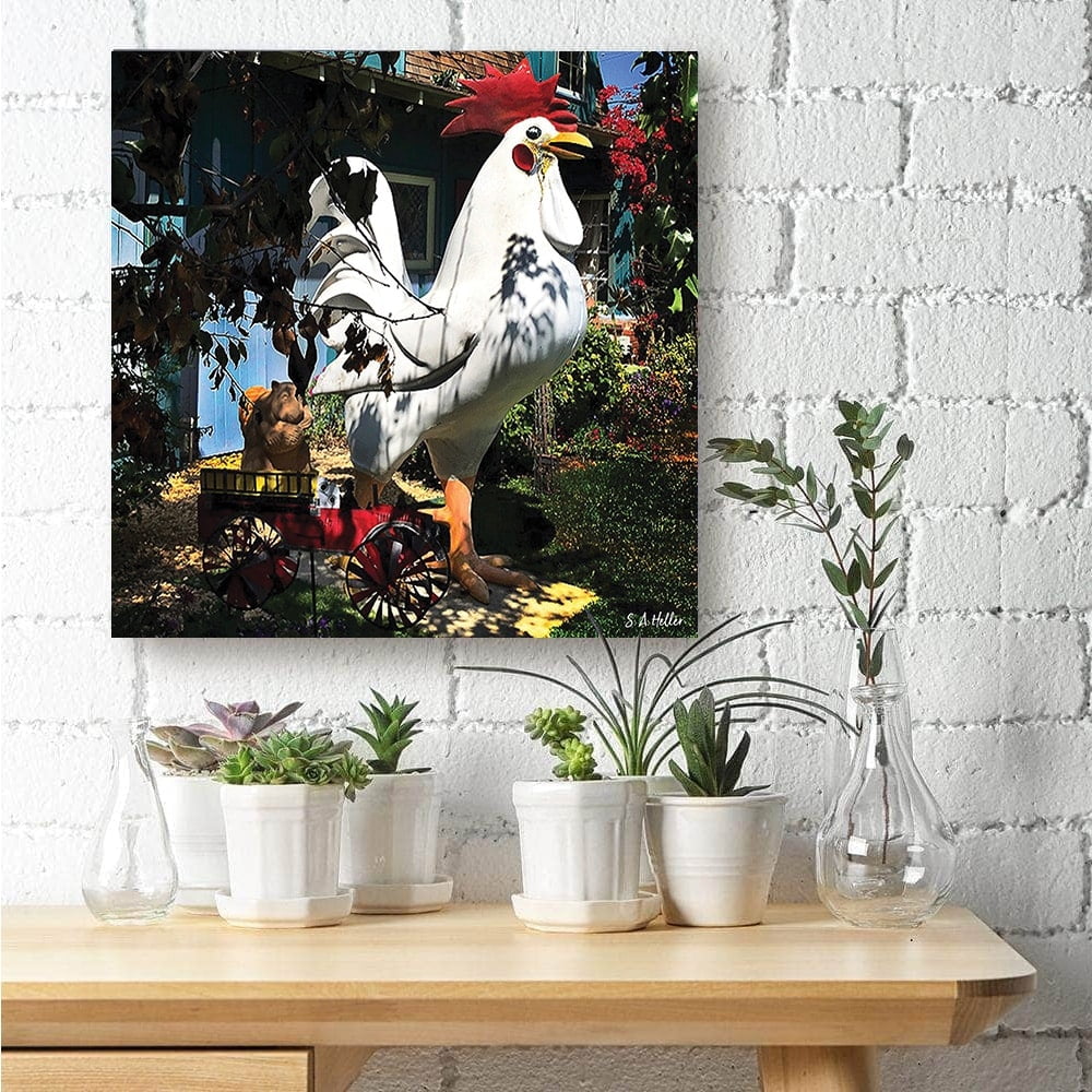 LAWN CHICKEN by photographer Steven A. Heller - 14"x14" Canvas Artwork - Multi-Color 16 x 20