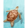 thumbnail image 3 of Isabelle Z 15x18 Black Modern Framed Museum Art Print Titled - Ocean Deep Turtle I, 3 of 5