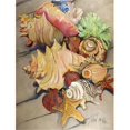 thumbnail image 1 of Coquillages Drapeau Jardin Taille, 1 of 1