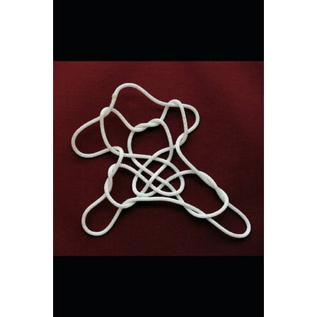 murphy unfettered (Paperback)