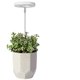 thumbnail image 5 of Grow Lights for Indoor Plants, LEDs Full Spectrum Halo Plant Light for Indoor Plants, Height Adjustable Growing Lamp with Detachable Base, 2/4/8Hrs Timer, 4 Brightness, 2-Pack, 5 of 5