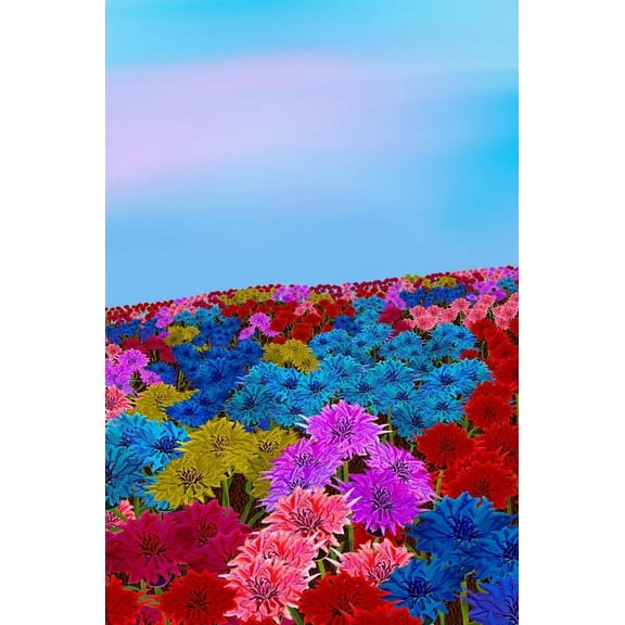 Mindbook: Oh my bottle flower field, (Hardcover)