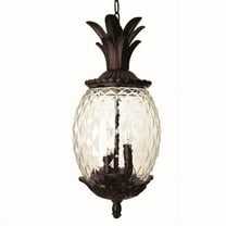 7516BC Acclaim Lighting Lanai - Three Light Outdoor Hanging Lantern - 10 Inches Wide by 21 Inches High-Black Coral Finish