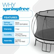 Springfree FlexrStep V2 Trampoline Ladder with Safety Lock, Silver/Black
