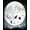 Black White Grey, Pattern 6, variant on ODIKA 8'x10' Washable Area Rug Crow Gothic Raven Norse Knot Runic Border Mystical Skull Damask for Living Room, Under Sectional, Family , Durable, Non-Slip