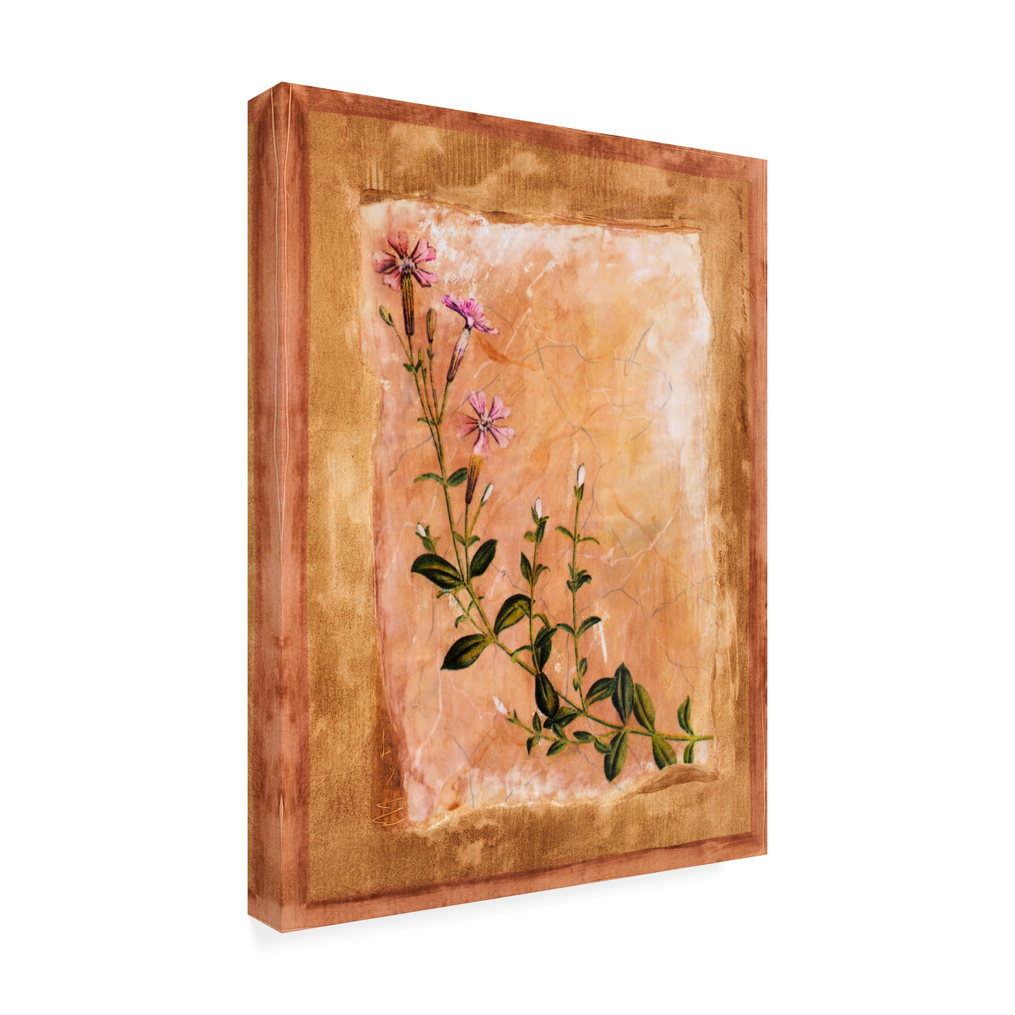 Trademark Fine Art 'Pink Flowers Painting' Canvas Art by Pablo Esteban