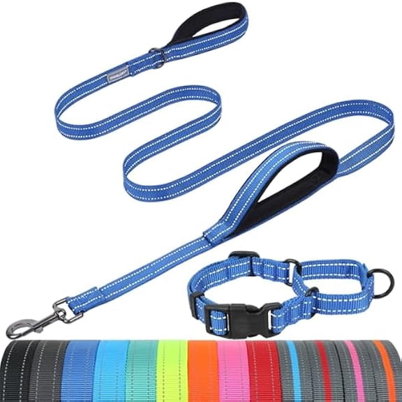 Eryueer Dog Leash Twingrip Double Handle Dog Leash with Traffic Handle Control & 2 Loop for Walking & Training, Reflective Heavy Duty for Puppy Pet Collar, 5 ft. x 1 in. L, Blue