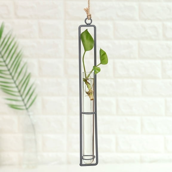Hanging Hydroponic Plant Terrarium; Transparent Hanging Glass Plant Pot; Home and Office Wall Decoration; Party Decoration
