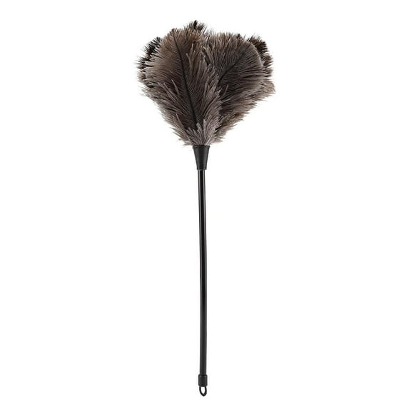 Kritne Ostrich  Duster, Mini Handmade Washable Reusable Ostrich  Duster for Books Keyboard Office Home, Duster