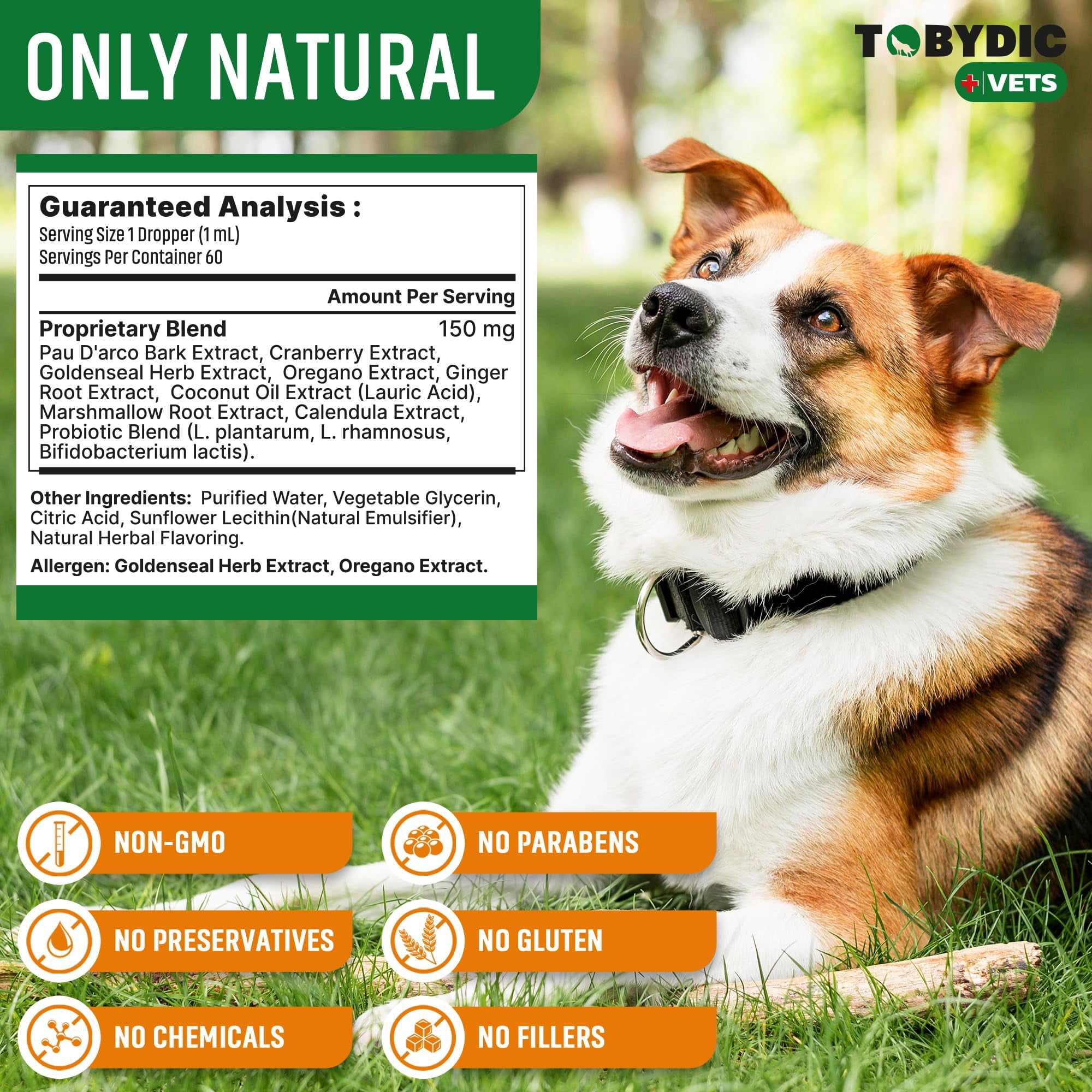 Natural Yeast Support for Dogs – Soothing Herbal Drops for Itchy Skin, Ears & Seasonal Sensitivities – Helps Calm Discomfort & Support Skin Balance – Liquid Supplement