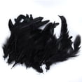 thumbnail image 2 of 50 Manualidades de s de Gallo Teñidas para Suministros de Gallo, Color Negro, 2 of 9