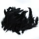 thumbnail image 2 of 25 Pares de Ropa de Plumas de Gallo Teñidas de Negro para Manualidades DIY, 2 of 9