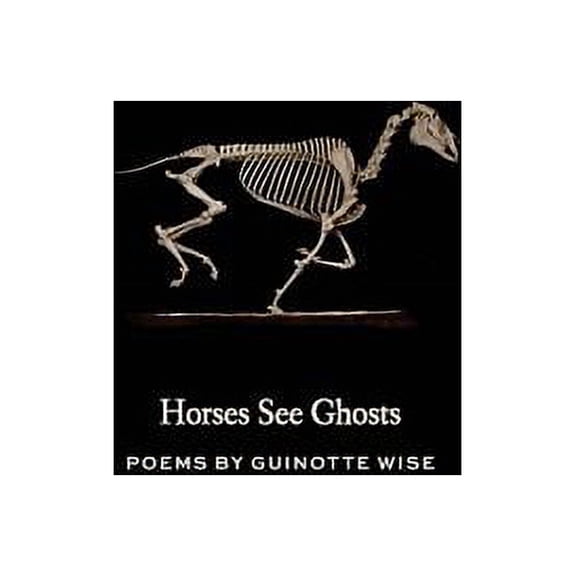 Horses See Ghosts (Paperback)