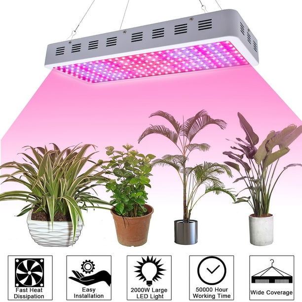 Little Known Facts About Grow Light Bulbs.