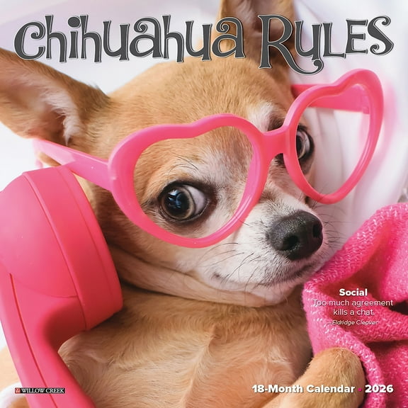2026 Willow Creek Chihuahua Rules 7" x 7" Monthly Wall Calendar (53508)