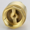 Brass Check Valve Anti Back Flow Valve Anti Back Flow for Fuel Inline
