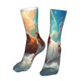 thumbnail image 6 of Fuzoiu Cloud Guinea Pig Print Crew Socks,Casual Athletic Gym LightWeight Thin Socks,Casual Crew Socks for Men Woman,Calf Length Crew Socks, 6 of 7
