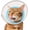 Blue, variant on Cat Cone Collar Soft: Comfortable Waterproof Mesh Recovery Cone After Surgery to Stop Licking and Scratch, Alternative to Plastic Elizabeth Head/Neck Cone Blue,S