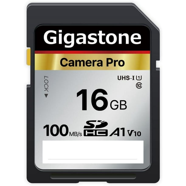 Gigastone Carte Mémoire 64 Go Lot de 2 Cartes, 4K Caméra Pro