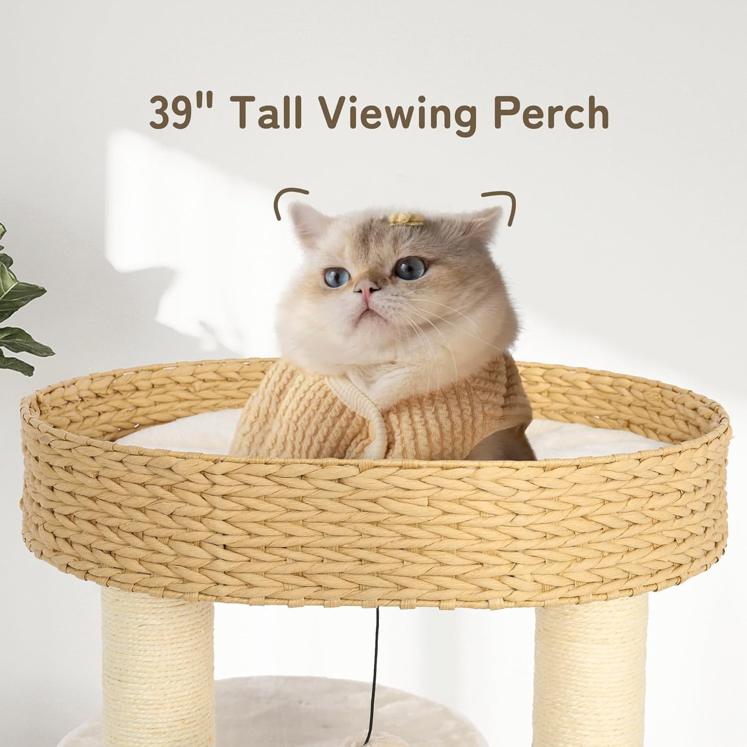 KAMABOKO Modern Cat Tree, 39" Tall Cat Tree for Kittens Climb Play & Rest, Cat Tree for Indoor Cats w/Natural Sisal Scratching Posts, Hand-Woven Condo & Top Perch
