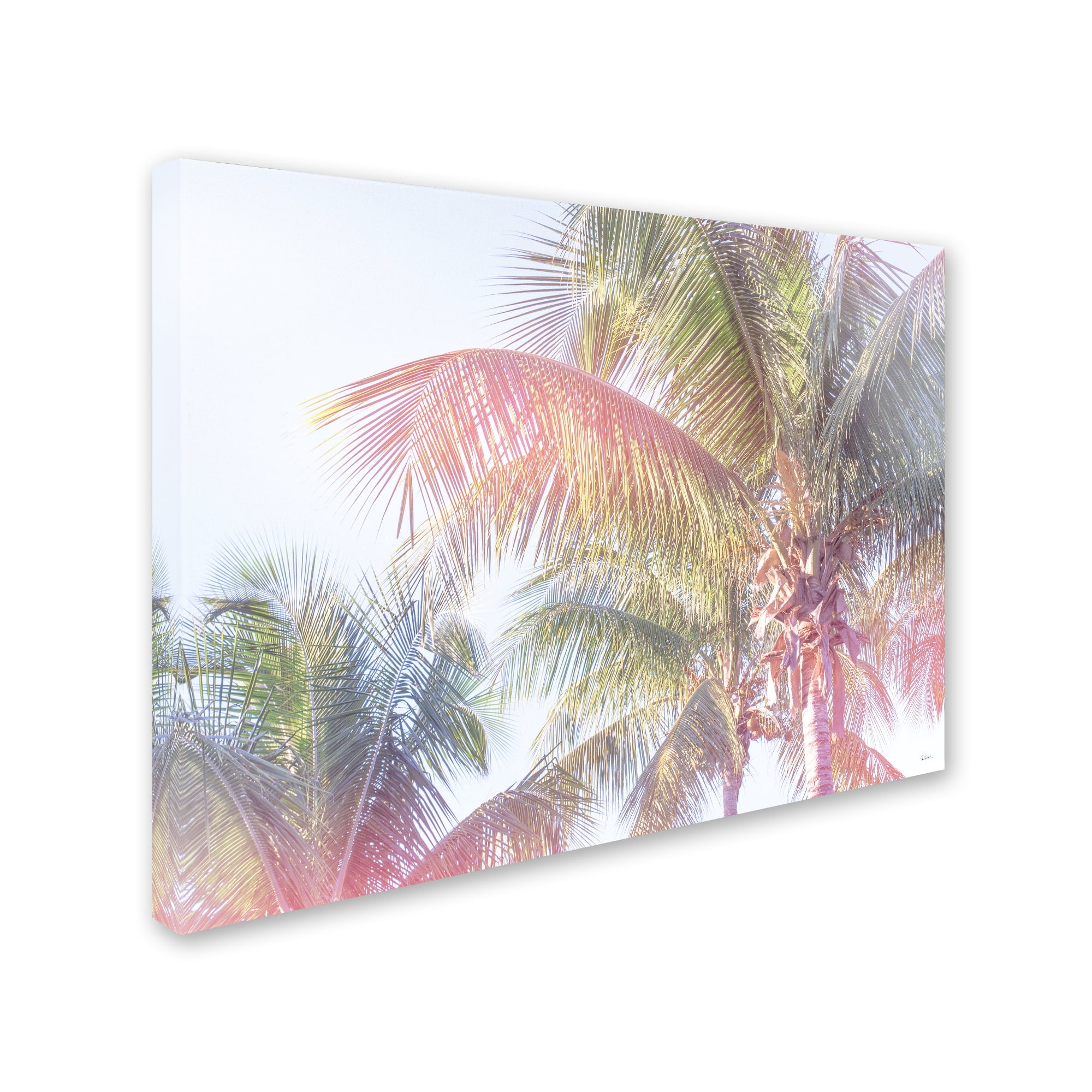 Trademark Fine Art 'Dream Palm I' Canvas Art by Sue Schlabach