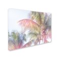 thumbnail image 2 of Trademark Fine Art 'Dream Palm I' Canvas Art by Sue Schlabach, 2 of 3