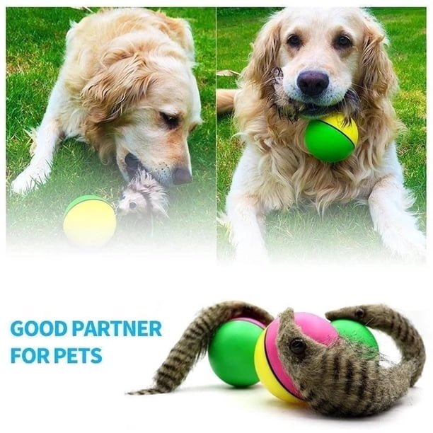 Pelota de juguete interactiva para perros y gatos | Plástico rodante motorizado | Estimula los sentidos | Reduce el aburrimiento y la ansiedad | Color aleatorio | Bola de 9cm | Juguete de 22cm | 1