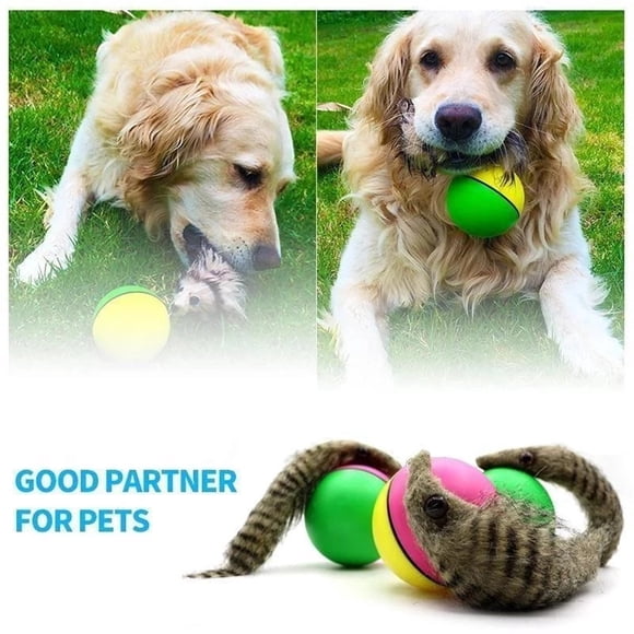 Diceymbol Cute Interactive Dog Toy with Motorized Ball Automatic Rolling Pet Toy for Small Dogs to Prevent Boredom and Destructive Behavior