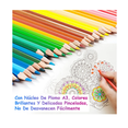 thumbnail image 3 of Lápices De Colores Xtellar  Profesional Arte 48 Colores, 3 of 4